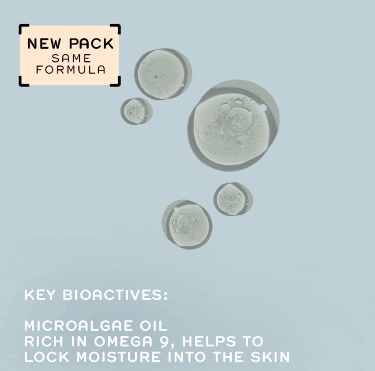 Atlantic Kelp And Microalgae Anti-Fatigue Toning Body Oil by REN Skincare is rich in Omega 9 and helps skin to lock its moisture.