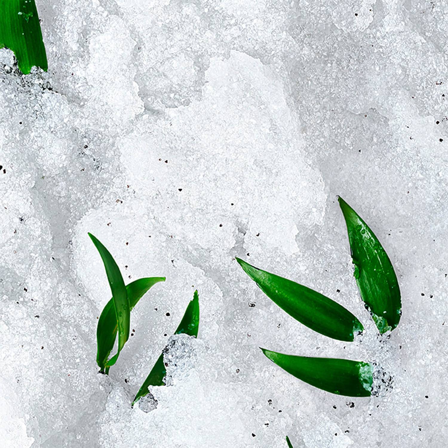 Smoother, rejuvenated and moisturised skin! Lift your mood and feel refreshed with a mesmerising fragranced body scrub.