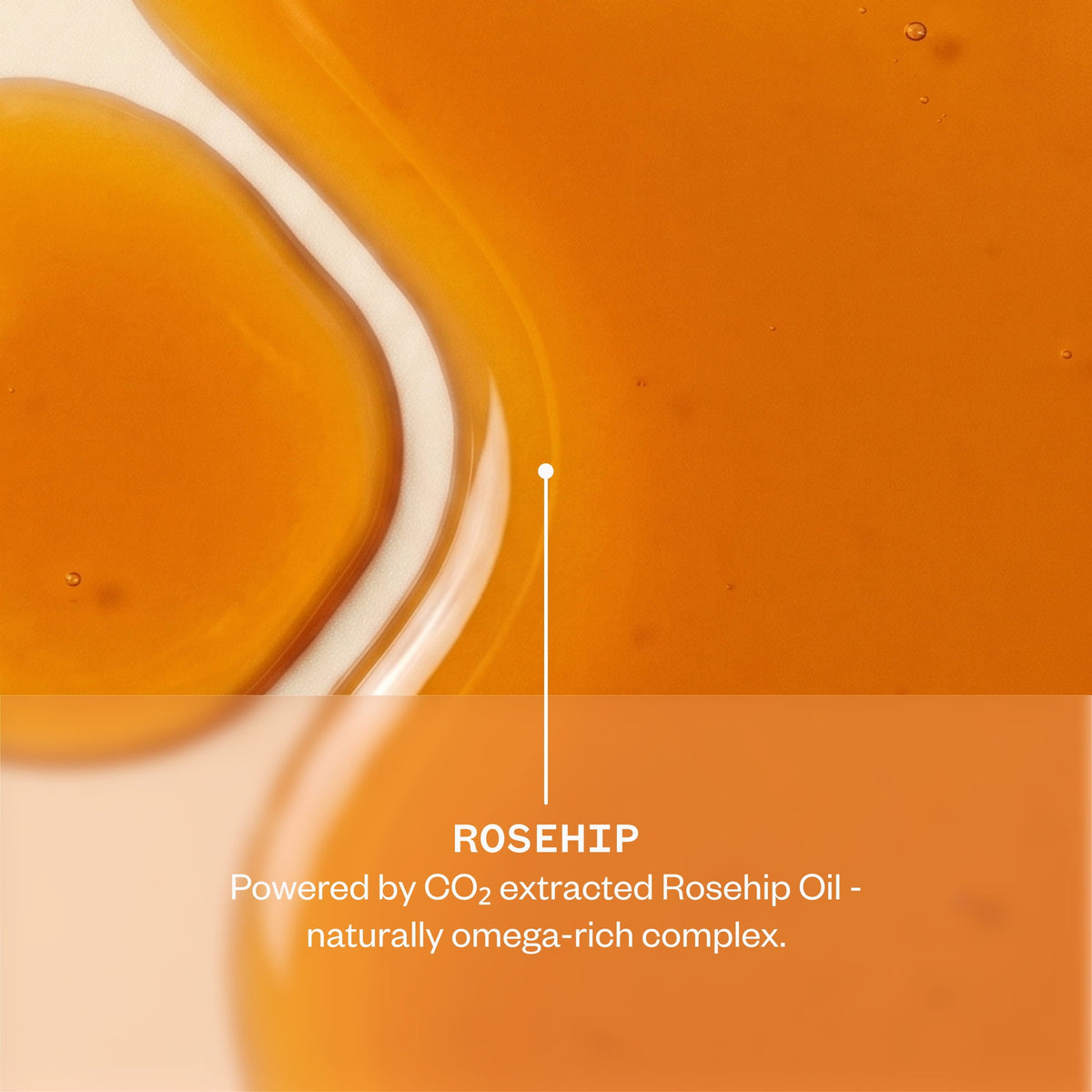 Pai Skincare The Rosehip Ritual CO2-extracted Rosehip Oil texture