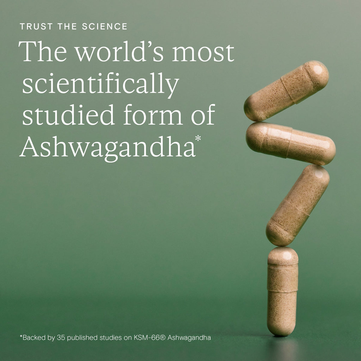 Wild Nutrition Food-Grown KSM-66 Ashwagandha Plus capsules, most scientifically studied form of ashwagandha