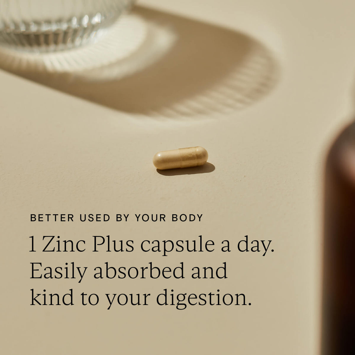 Wild Nutrition Food-Grown Zinc Plus single daily capsule
